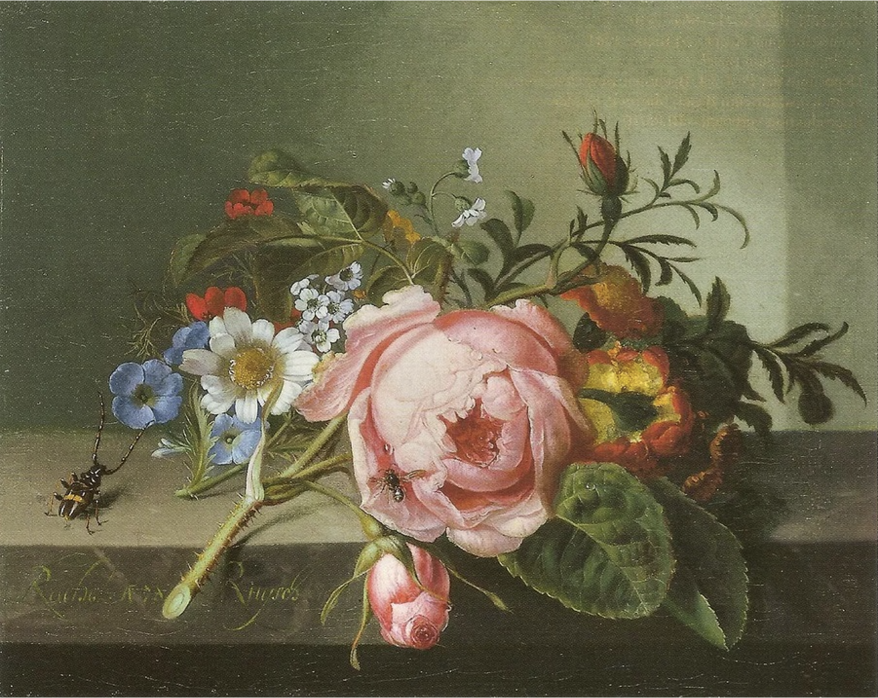 Still Life with Rose Brance, Beetle, and Bee
