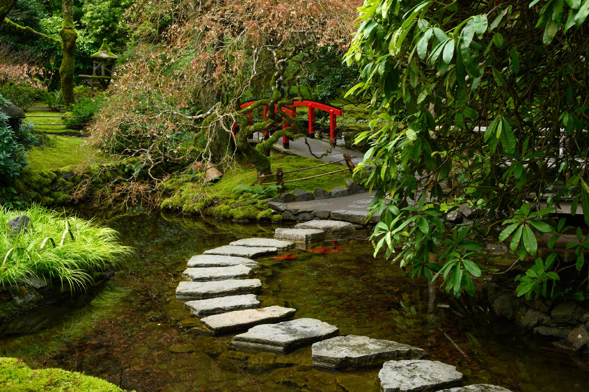 picture of the Butchart Japanese Garden