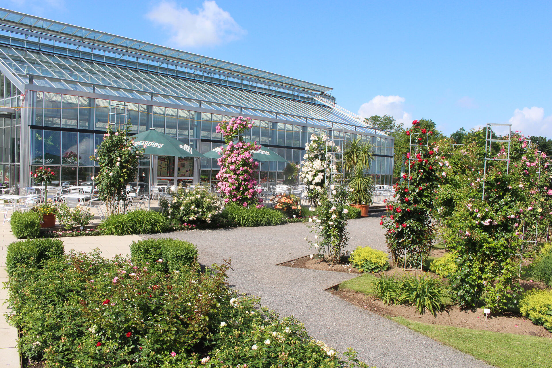 picture of the Europa-Rosarium