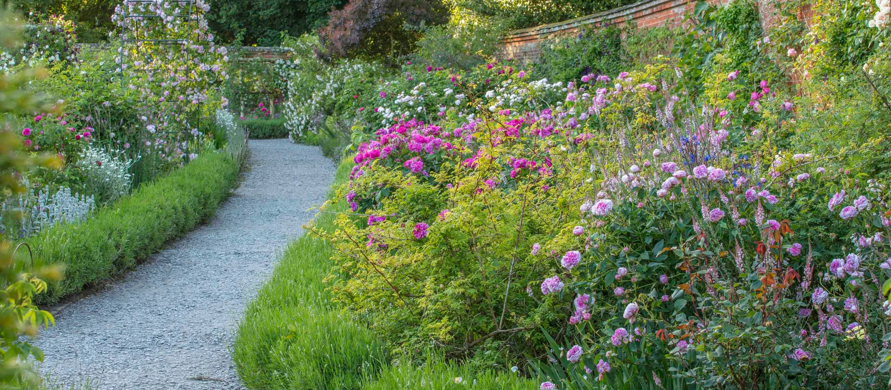 picture of a pathway in Mottisfont's Abbey Garden