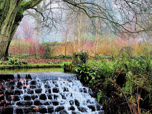 picture of the Mottisfont's Abbey Garden